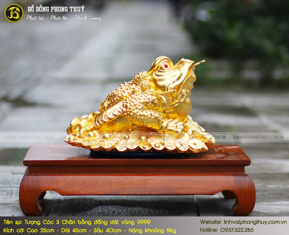 Tượng Cóc 3 Chân Bằng Đồng Cao 25cm Dát Vàng 9999 - LVC003 4