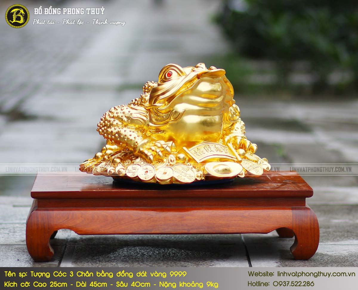 Tượng Cóc 3 Chân Bằng Đồng Cao 25cm Dát Vàng 9999 - LVC003 5