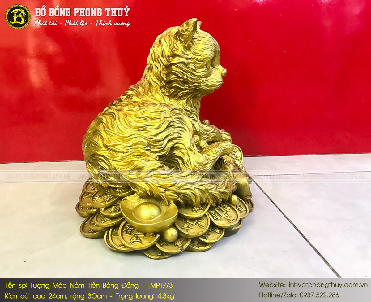 Tượng Mèo Nằm Trên Tiền Bằng Đồng Cao 24cm - TMPT773 6