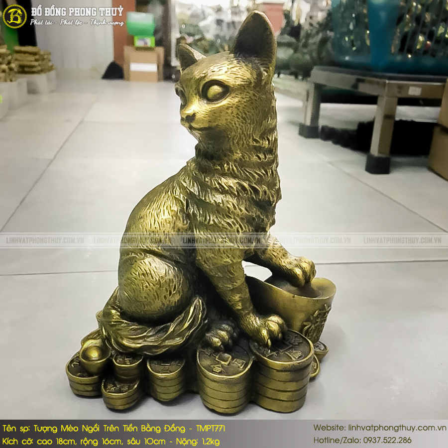 Tượng Mèo Ngồi Trên Tiền Bằng Đồng Cao 18cm - TMPT771 3