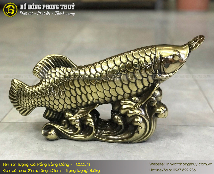 Tượng Cá Rồng Bằng Đồng Dài 40cm - TCCD541 3