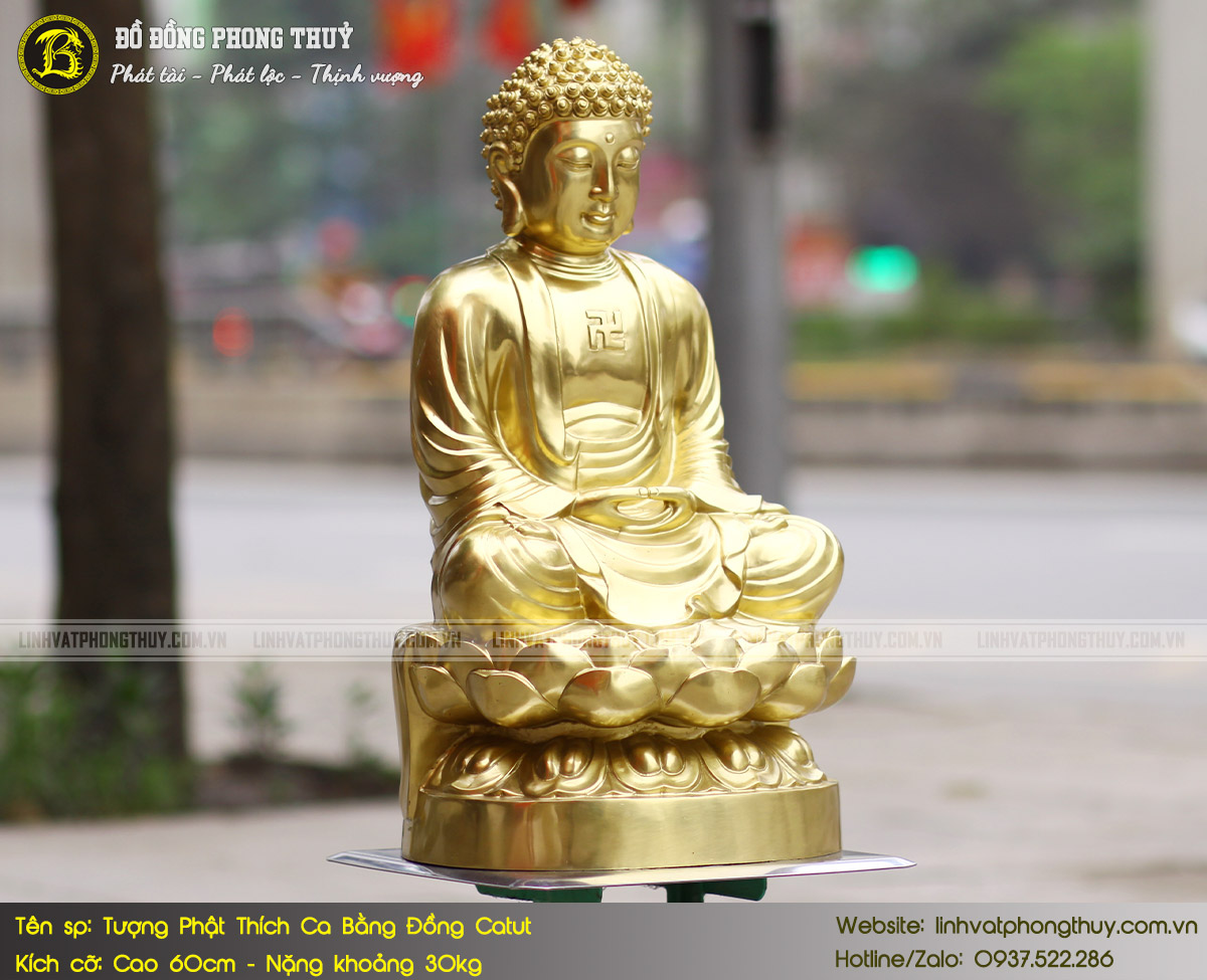 Tượng Phật Thích Ca Bằng Đồng Catut Cao 60cm - TP001 3