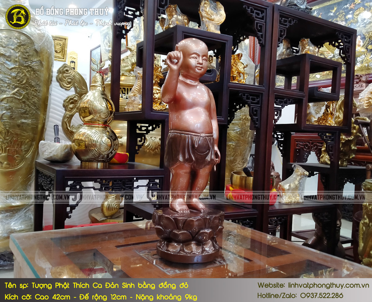 tượng Phật Thích Ca Đản Sinh bằng đồng đỏ cao 42cm