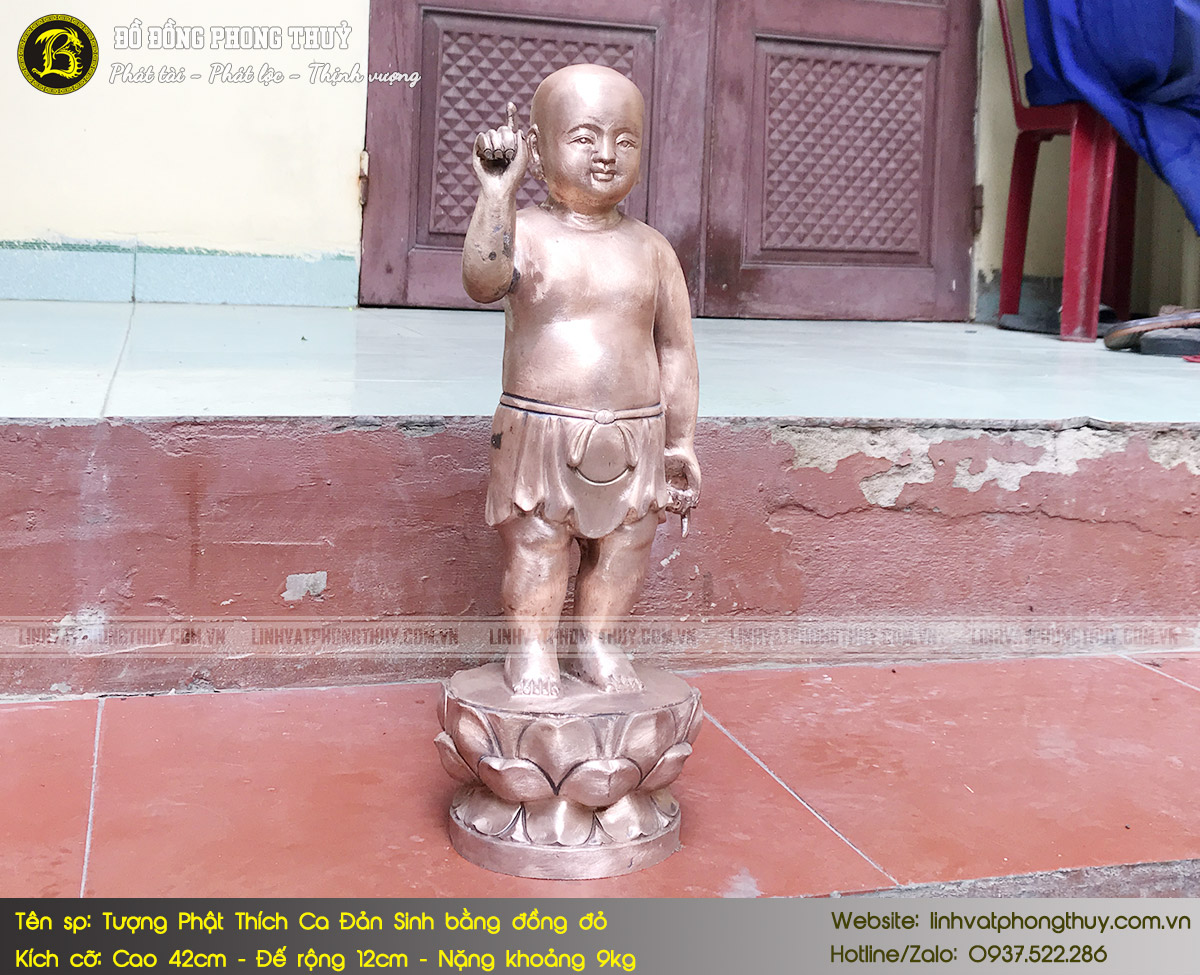 tượng Phật Thích Ca Đản Sinh bằng đồng đỏ cao 42cm